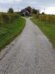 20161024_134140 (Small)